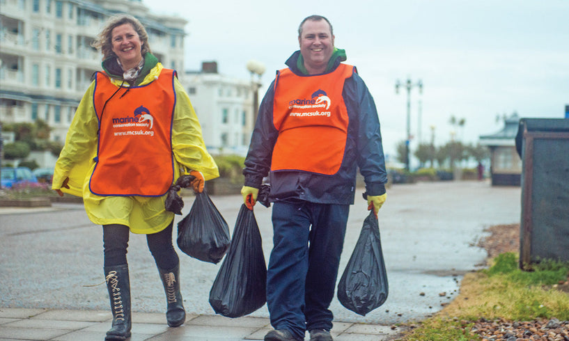 A beginner’s guide to beach cleans image