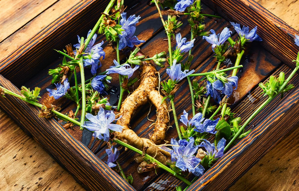 Get to know the benefits of Inulin for skin