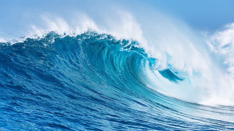 Your guide to ocean-friendly sunscreen image