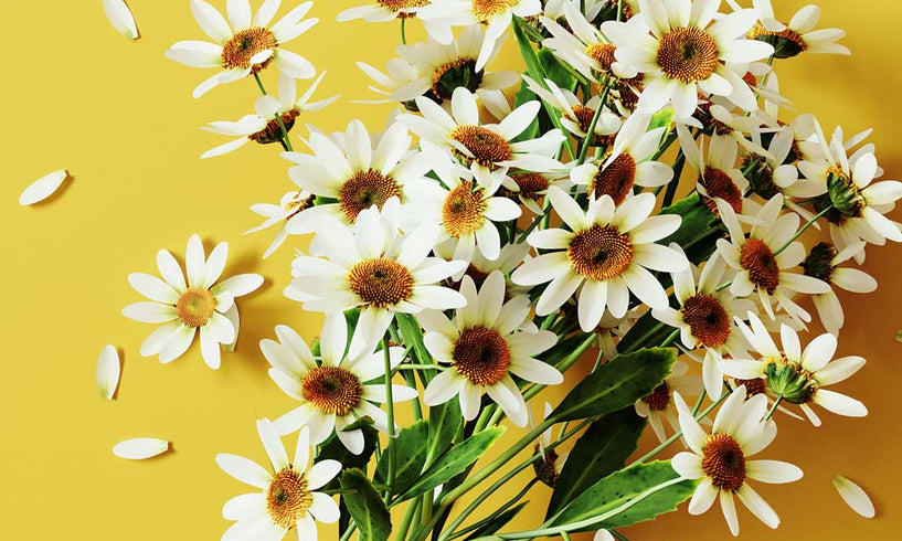 What ingredients don’t you use? image