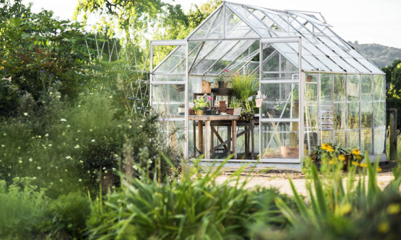 The UK gardener’s guide to sunscreen image