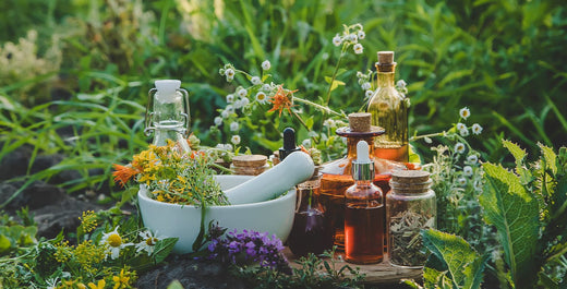 Ceramides in skin care: what you need to know image