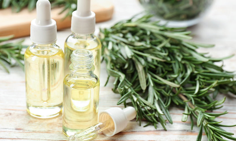 Skin benefits of Rosemary Oil & Extract