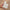 Thumbnail for Scented Favourites image