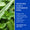 Close-up of aloe vera and mint leaves beside text describing the aloe and peppermint toothpaste base.