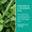 Close-up of aloe vera and mint leaves beside text about peppermint and spearmint oils in Minty Cool Toothpaste.