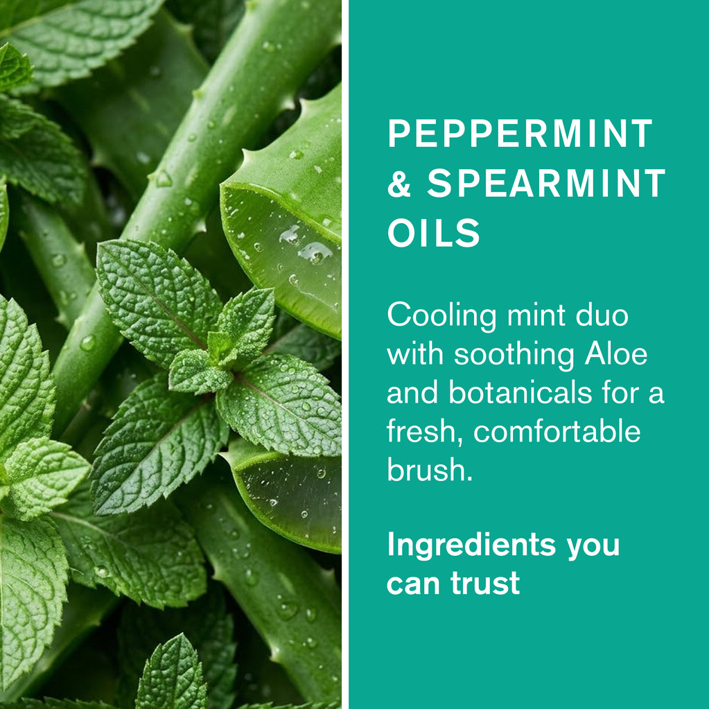 Close-up of aloe vera and mint leaves beside text about peppermint and spearmint oils in Minty Cool Toothpaste.