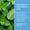 Close-up of mint leaves beside text describing spearmint and peppermint oils in the children’s toothpaste.