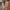 Thumbnail for A hand holds a tube of Edelweiss Sun Cream with Tan Accelerator SPF15 on a sunny beach in front of a woman in a straw hat. image
