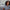 Thumbnail for Advanced Pro Collagen Complex image