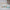 Thumbnail for Festival Kit  image