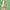 Thumbnail for dermatologically tested scent free 24 hour cream image