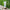 Thumbnail for Moisturising After Sun with Insect Repellent bottle image