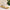 Thumbnail for videowise-widget-6644a2d651a39600292c2321-4732035399725 image
