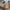 Thumbnail for Hand holding a white pump bottle of moisturizer with silver trim, angled left with blurred green and brown background. image