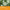 Thumbnail for Close up of several green and white edelweiss flowers with green leaves, with text overlay on an orange background. image