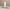 Thumbnail for nordic roots truffle night cream 50ml image
