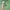 Thumbnail for organic young blemish concealer, dermatologically tested image