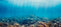 Ocean-friendly image