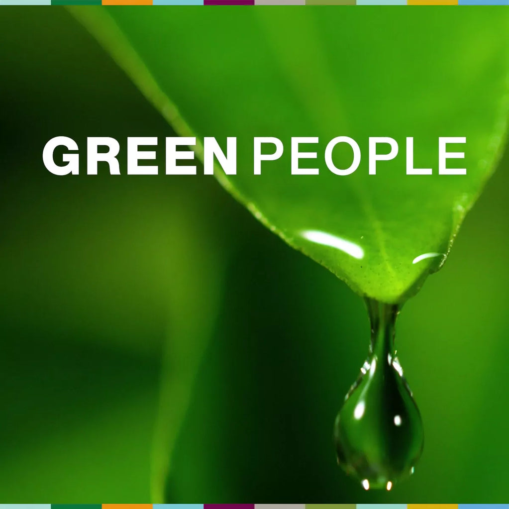 videowise-widget-6650a46865d6840029d9d065-4732018720813