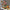 Thumbnail for videowise-widget-6650a46865d6840029d9d065-8479908626477 image