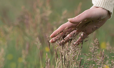 Natural skin care for sensitive skin image