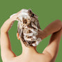 Intensive Repair Shampoo 200ml